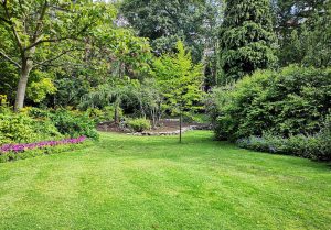 Optimiser l'expérience du jardin à Anguilcourt-le-Sart